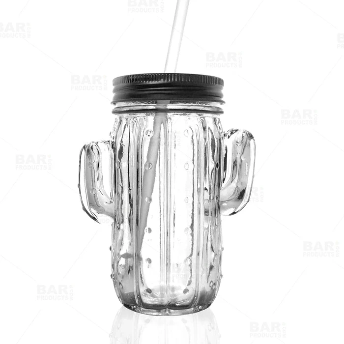 Cheapest ???? BarMan BarConic® Cactus Mason Jar Glass - W/ Lid ⭐ 1 Cheapest ???? BarMan BarConic® Cactus Mason Jar Glass - W/ Lid ⭐