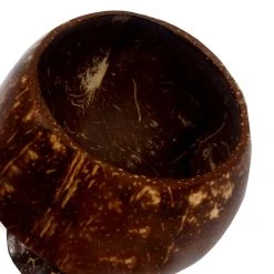 Top 10 ???? BarMan BarConic® Coconut Coupe Cup - 16 Oz. ✔️ -BarMan - shop cocowine2bs 1 700x700