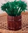 Outlet ???? BarMan BarConic® Green Palm Tree Stirrers - 7" - Pack Of 200 ✔️