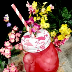 New ???? BarMan BarConic® Glassware - Pink Flamingo Glass - 18 Ounce ???? -BarMan - shop pink flamingo jar bpc 5 700x700